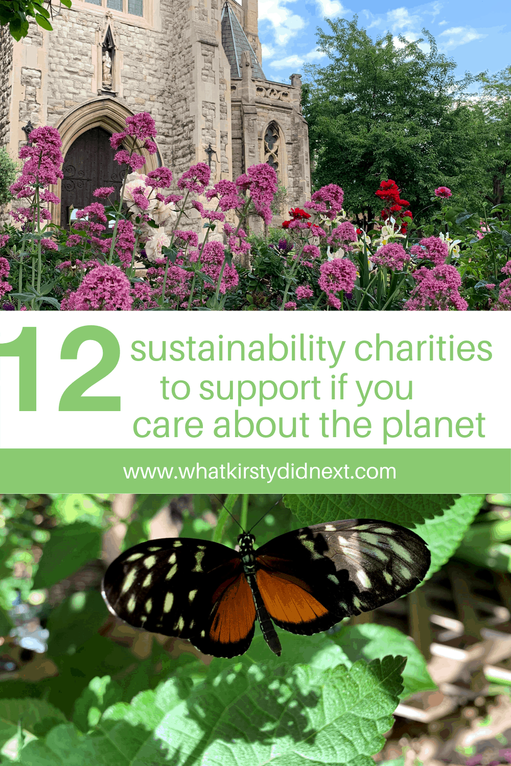 12 sustainability charities to support if you care about the planet