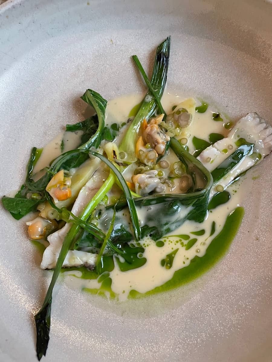 Turbot with leeks and clams