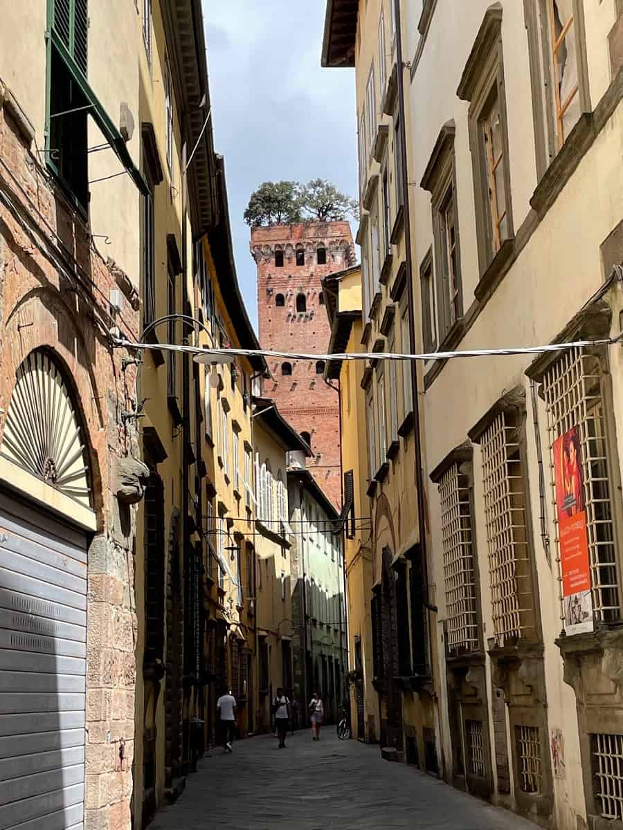 Guinigi Tower in Lucca
