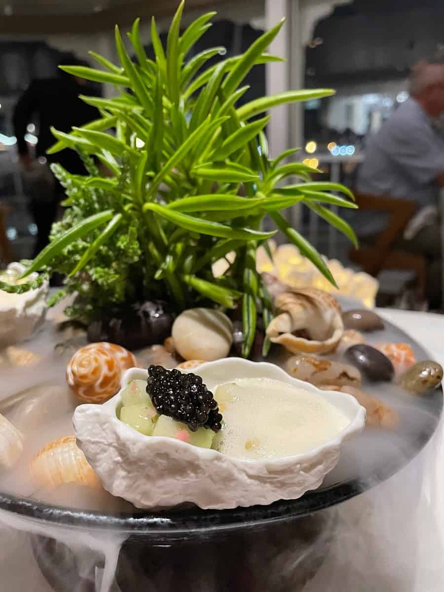 A poached oyster in an oyster shell sitting on a plate decorated with seashells.